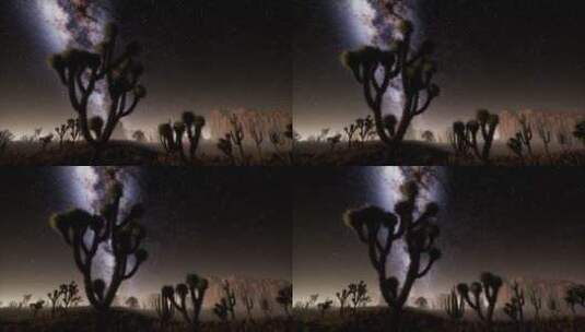 沙漠中的的星空延时高清在线视频素材下载