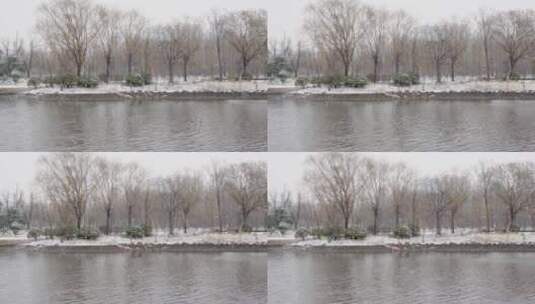 4K北方冬天公园湖面下雪实拍视频高清在线视频素材下载