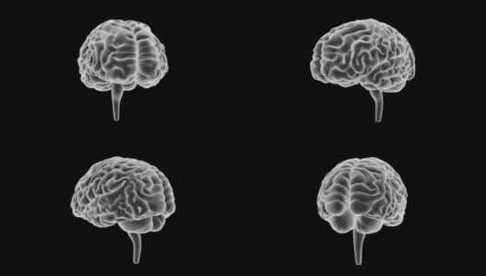 医学 大脑 脑科学 三维 脑ct1 模型高清在线视频素材下载