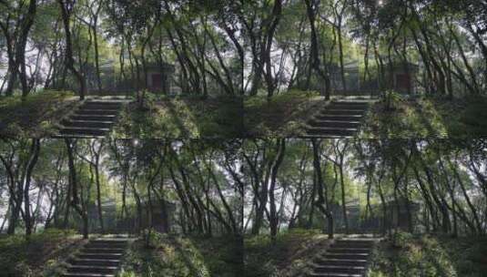 杭州吴山景区云之居高清在线视频素材下载