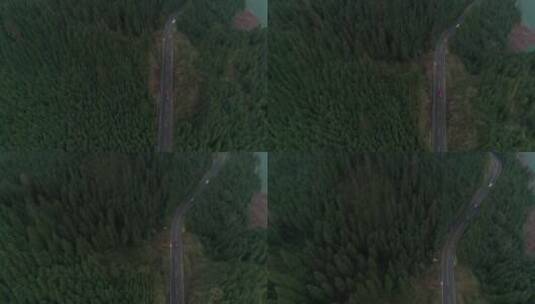 航拍汽车行驶在林间公路高清在线视频素材下载