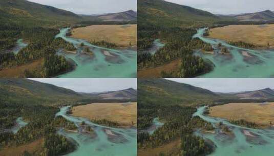 航拍秋天的新疆喀纳斯河森林自然风光高清在线视频素材下载