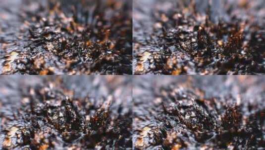 微距实拍4K微观金属被吸引有机物特写素材50高清在线视频素材下载