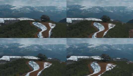 冬季云南红土地雪景积雪覆盖山川大地神树高清在线视频素材下载