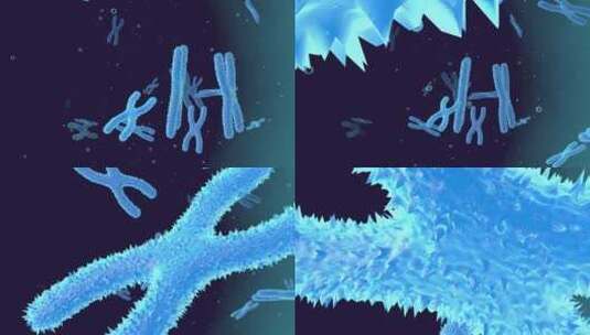 高科技医疗细胞XY染色体研究3D展示动画高清在线视频素材下载