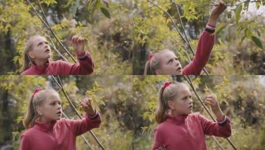 女孩在森林观察树叶高清在线视频素材下载