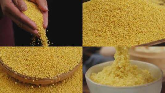 新鲜黄米高清在线视频素材下载