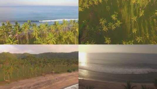 热带海滩的棕榈树三亚纪录片风景海南海岛高清在线视频素材下载