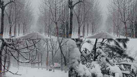 超长升格唯美雪景-森林冬季下雪高清在线视频素材下载