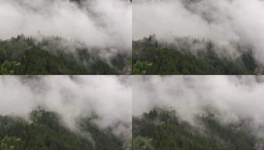 瑞士阿尔卑斯山格林德沃尔德地区平斯特格低云的时间推移高清在线视频素材下载