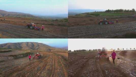 农收时节农民开着农用机在地里挖土豆马铃薯高清在线视频素材下载