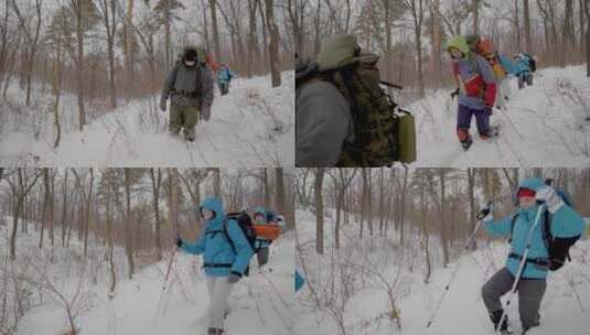 徒步旅行者在冬季森林漫步高清在线视频素材下载
