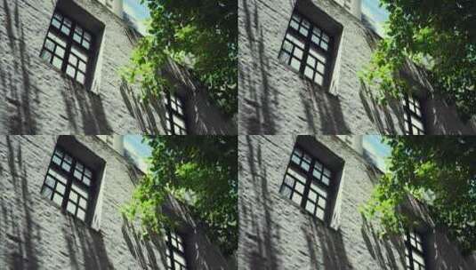 建筑墙面窗户树影高清在线视频素材下载