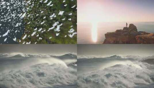 【合集】梦幻的海洋高清在线视频素材下载