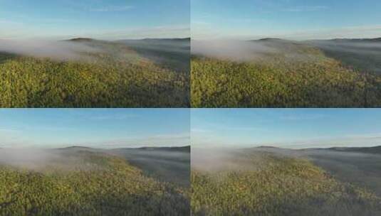 航拍秋季山川林海晨雾高清在线视频素材下载