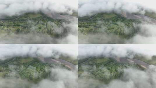 河流湿地云雾缥缈高清在线视频素材下载
