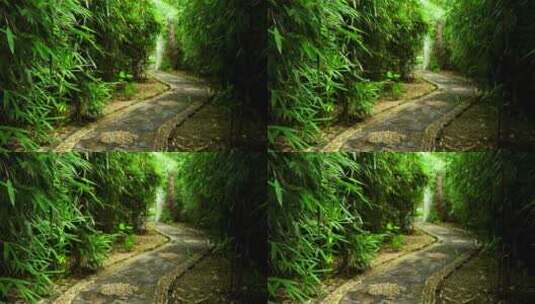 江南园林竹林竹子唯美的禅意空镜高清在线视频素材下载