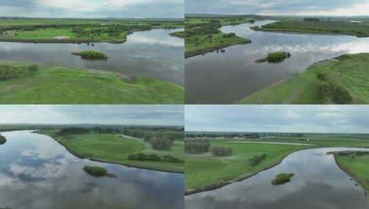 呼伦贝尔牧场夏日河流湿地羊群高清在线视频素材下载