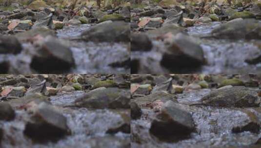 清澈的山涧溪水高清在线视频素材下载
