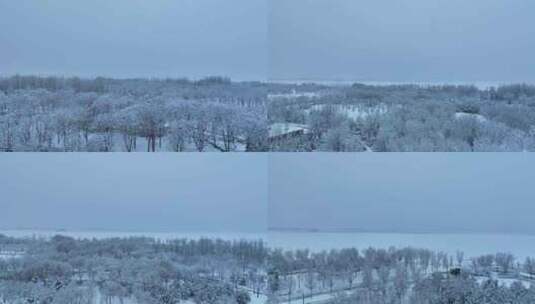 太原晋阳湖雪景高清在线视频素材下载