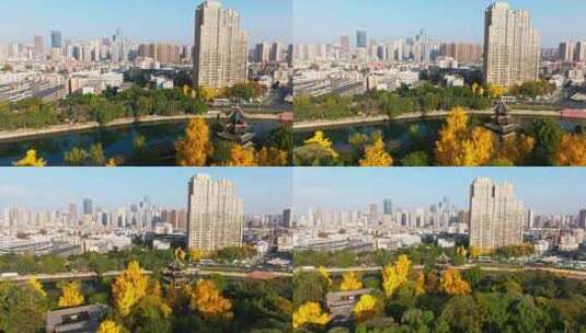 成都秋天阳光金黄的银杏点缀着城市公园风景高清在线视频素材下载