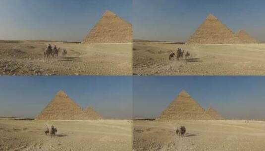游客骑马和骆驼经过吉萨金字塔高清在线视频素材下载