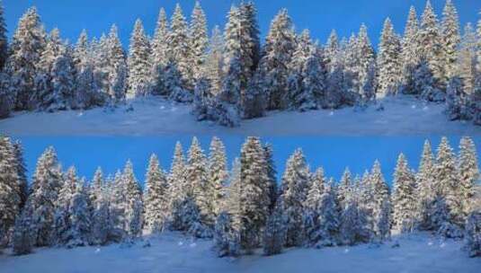 阳光明媚的一天，瑞士阿尔卑斯山白雪皑皑的高清在线视频素材下载