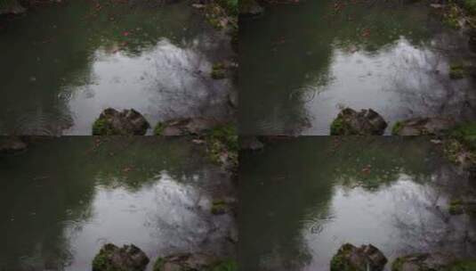 杭州西湖冬季雨天雨滴高清在线视频素材下载