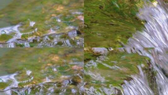 杭州植物园小溪流水特写风景视频素材高清在线视频素材下载