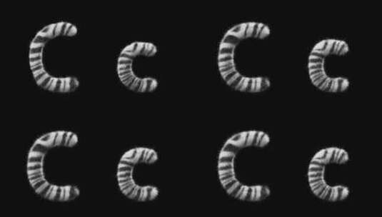 大写和小写斑马羊毛字母C的3D动画高清在线视频素材下载
