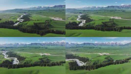 新疆伊犁唐布拉百里画廊草原森林雪山高清在线视频素材下载