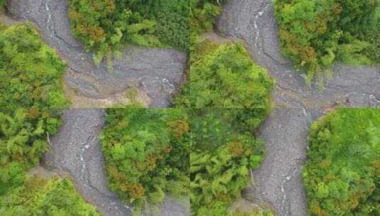 一条小溪穿过茂密翠绿的雨林中的砾石河床高清在线视频素材下载