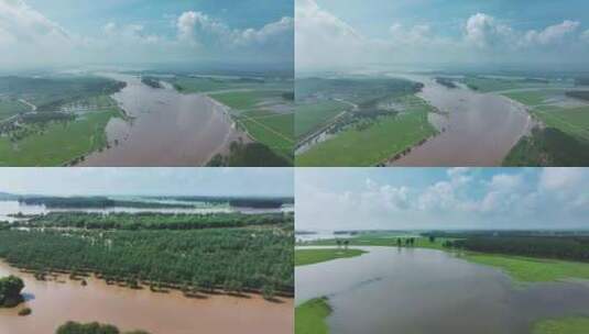 辽河沿岸草原湿地航拍户外风景高清在线视频素材下载