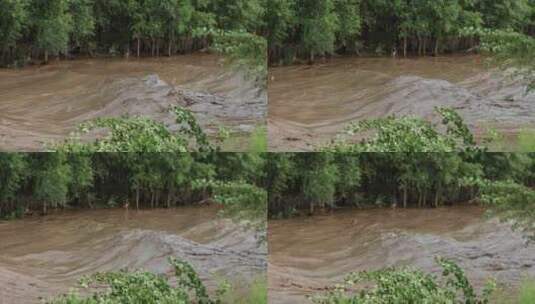 实拍暴雨后洪水 山洪  泥石流高清在线视频素材下载