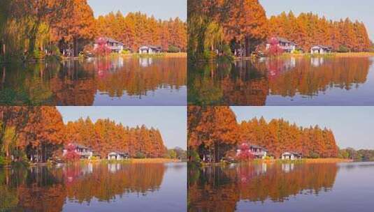 杭州西湖秋天建筑风景高清在线视频素材下载