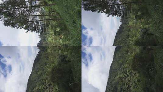 美丽的垂直视频肖像自然风光山脉自然全景丘陵和森林高清在线视频素材下载