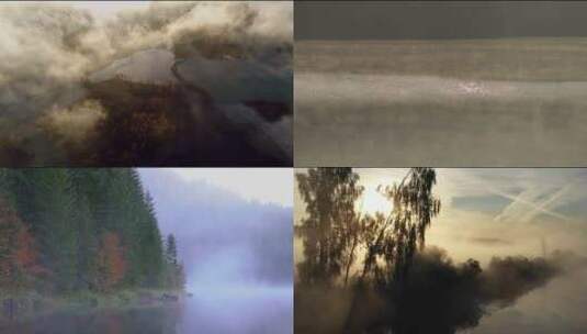 森林湖面水面晨雾树林唯美天然氧吧高清在线视频素材下载