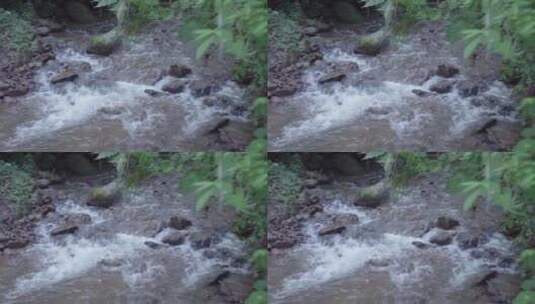 云南普洱森林中湍急的河流高清在线视频素材下载