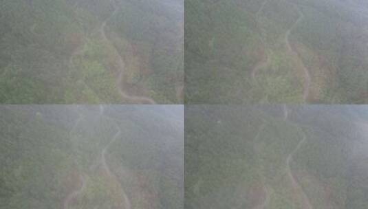 大自然森岭云雾航拍高清在线视频素材下载