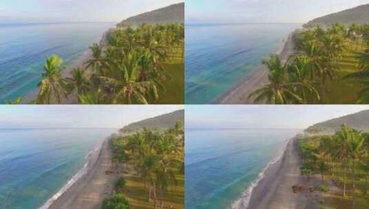 航拍沿着海滩飞过棕榈树高清在线视频素材下载