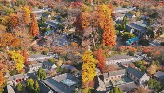 青岛崂山青岛秋景青岛太清宫航拍高清在线视频素材下载