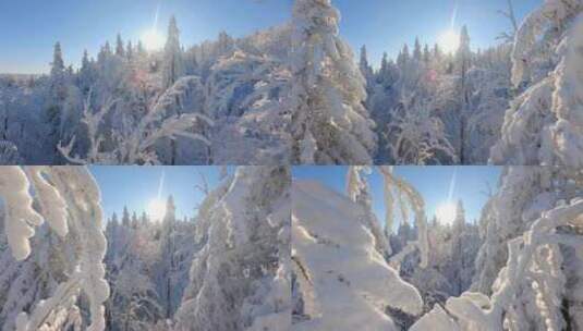 大雪雾凇森林雪景高清在线视频素材下载
