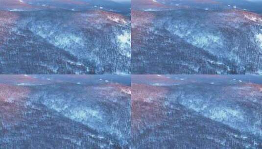 航拍大兴安岭林海雪原暮色高清在线视频素材下载