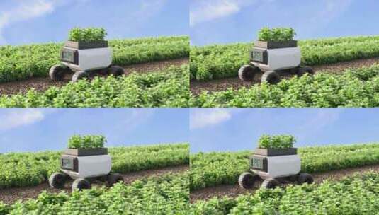 农业科技生态农业蔬菜高清在线视频素材下载