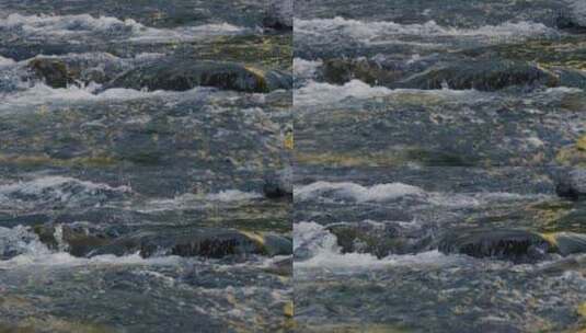 黄昏溪流小河流水特写镜头高清在线视频素材下载