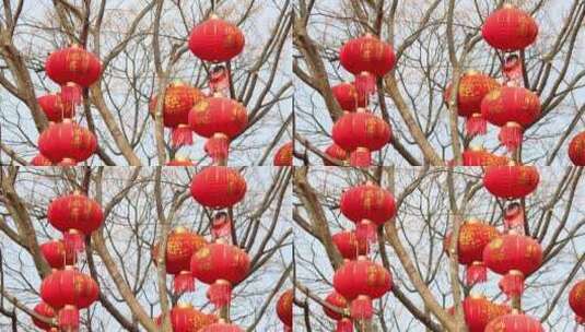 郴州南塔公园南门元宵节红色灯笼1高清在线视频素材下载