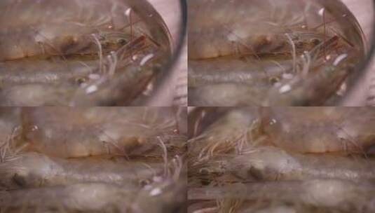 新鲜的大虾海虾虾线高清在线视频素材下载