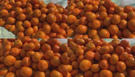 逛大集买橘子砂糖橘橙子高清在线视频素材下载