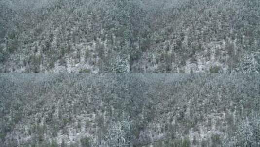 航拍大兴安岭下雪时的山林高清在线视频素材下载