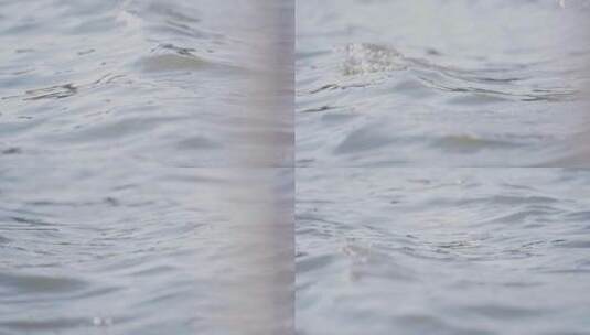 4K唯美湖面波光粼粼水面高清在线视频素材下载